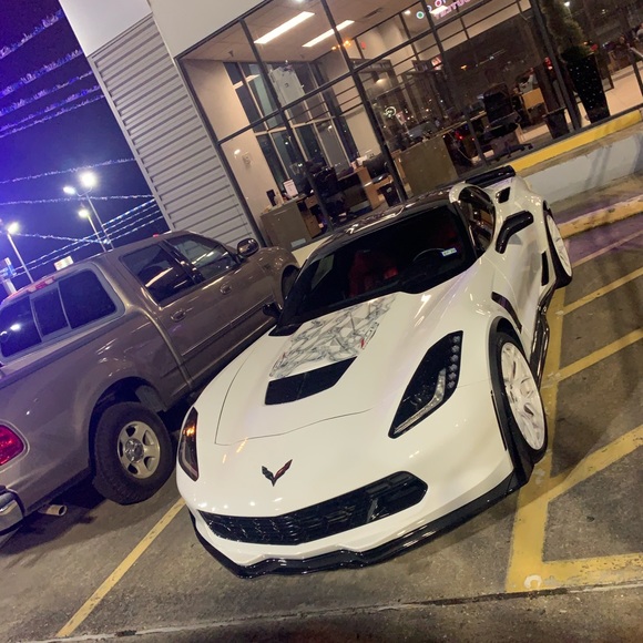 Meet your Posher, Franki - Picture 8 of 10